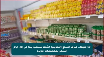 50 جنيها.. صرف السلع التموينية لشهر سبتمبر يبدأ في أول أيام الشهر بمخصصات جديدة